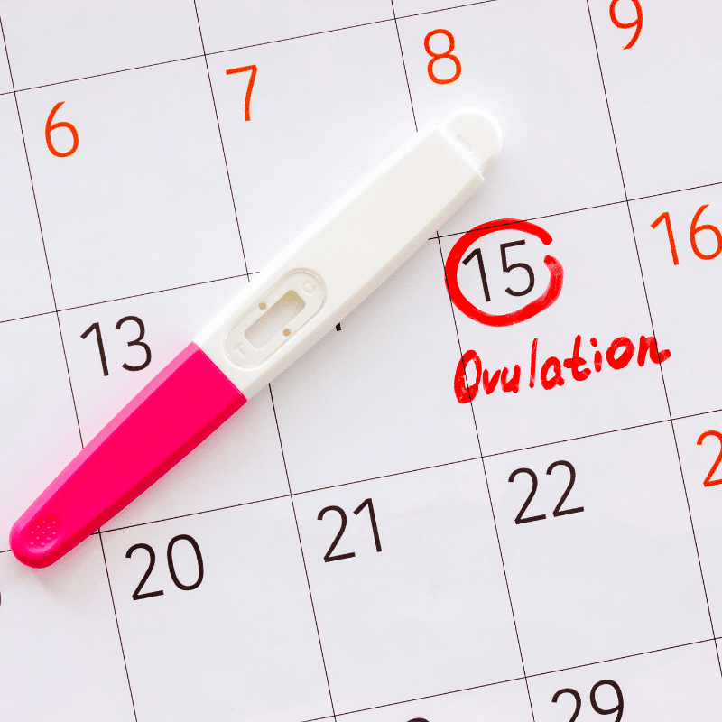 ovulation induction