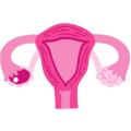 Ovulation Induction
